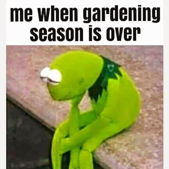 NOTHING - Picture 1 of 1